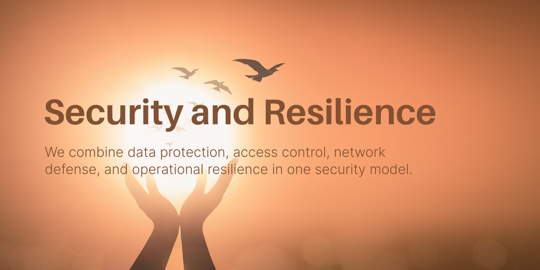 Security operations visual