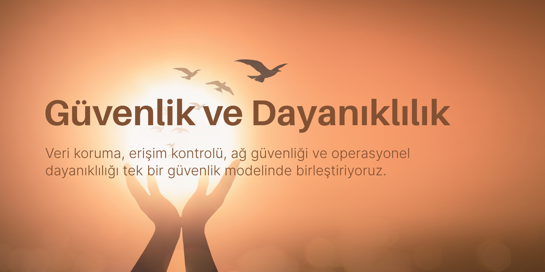 Security operations visual